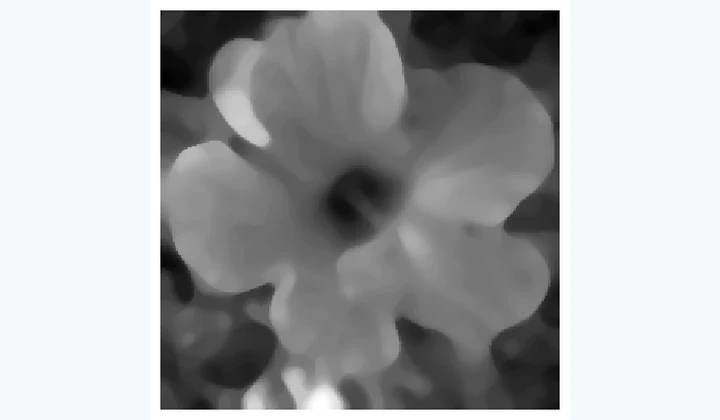 Computed results from Rank Filters and Mathematical Morphology