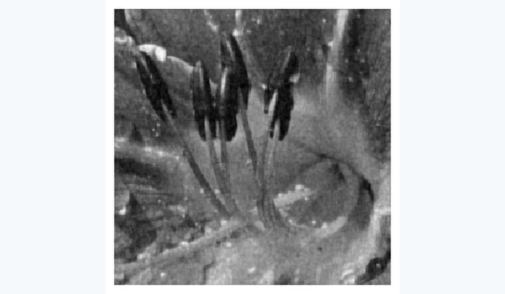Computed results from Linear Image Denoising