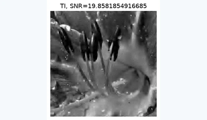 Computed results from Wavelet Image Denoising