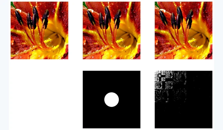 Computed results from Explore Fourier and Wavelets Interactively