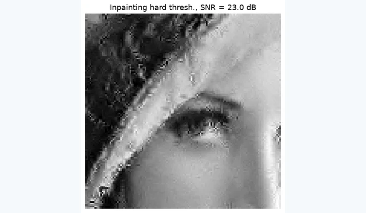 Computed results from Sparse Image Inpainting