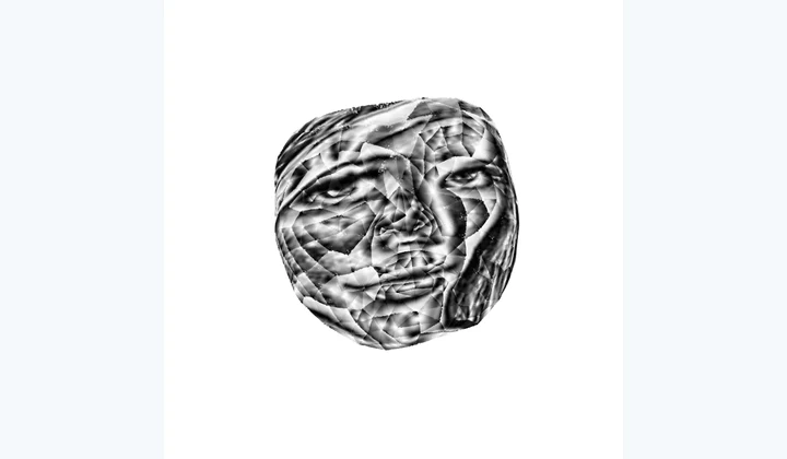 Computed results from Mesh Parameterization