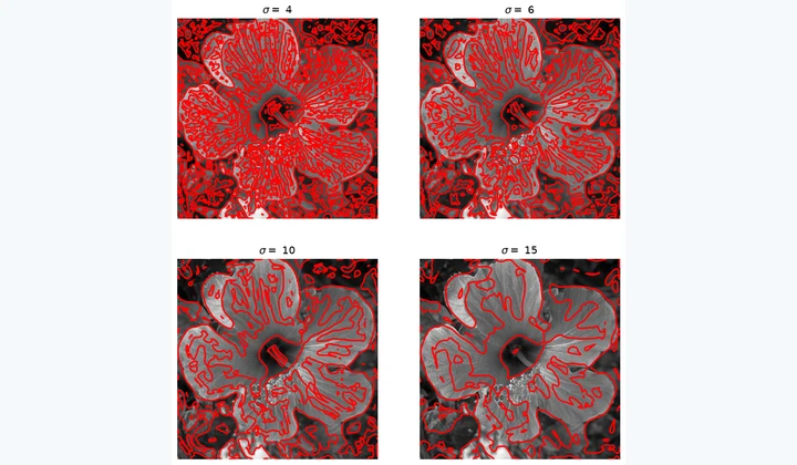 Computed results from Image Edge Detection