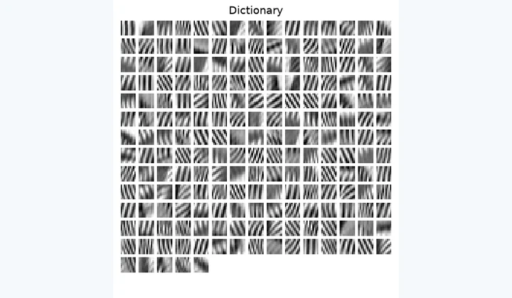 Computed results from Learning Sparse Dictionaries